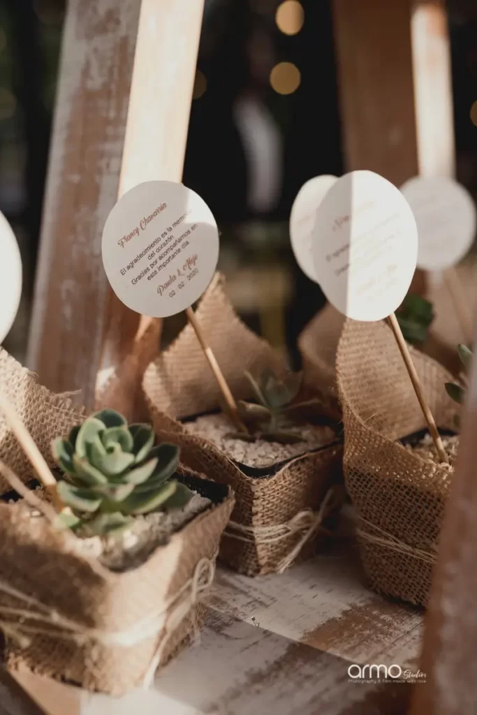 Plantas recuerdo de bodas